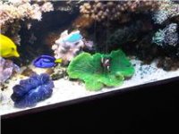 View IMG00047-...jpg