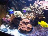 View IMG00087-...jpg