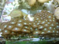 DSC01392.jpg