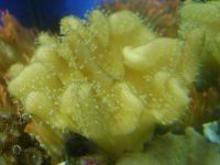 DSC01394.jpg