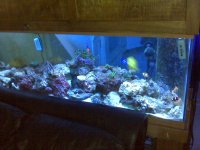 IMG00090-20100416-1825.jpg