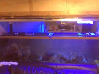 IMG00048-20100629-1946.jpg