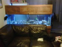 IMG00004-20100211-2101.jpg