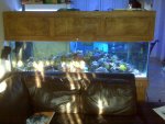 IMG00014-20100429-1809.jpg