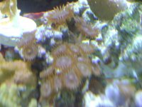 DSC01433.jpg