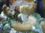 DSC01439.jpg