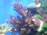 DSC01244.jpg