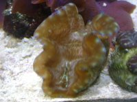 DSC01444.jpg