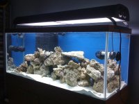swtank2.jpg