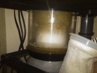 IMG00238-20100603-1707.jpg