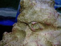 2010-06-04 15.03.30.jpg