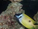 100_0863.jpg