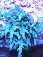 IMG_1909.jpg