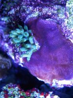 IMG_2077.jpg