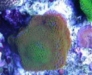 IMG_2080.JPG