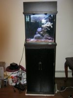 tank 010.jpg
