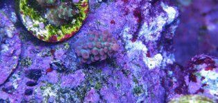 IMG_2169.JPG