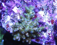 IMG_2173.JPG