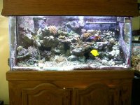 IMG00008-20100410-1151.jpg