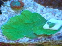 DSC02890.JPG