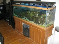 IMG_0419.jpg