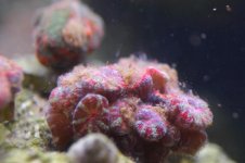 DSC_3554.jpg