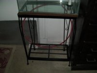 SANY0903.jpg