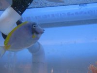 IMG_0129.jpg