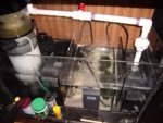 Copy(2) of fish tank2.JPG