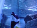 DSC02490.jpg