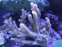 DSCF3201.jpg