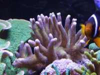 DSCF3200.jpg