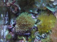 DSCF3187.jpg