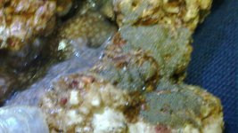 20101101_003.jpg