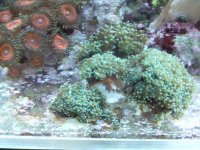 DSCF3185.jpg