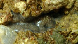 20101101_004.jpg