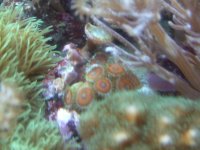 DSCF3184.jpg
