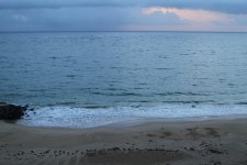 IMG_0073.jpg