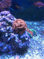 IMG_0277.jpg