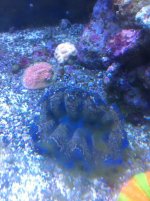 IMG_0281.jpg