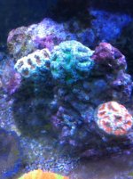 IMG_0282.jpg