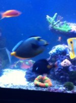 IMG_0497.jpg