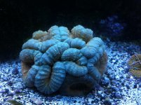IMG_0504.jpg