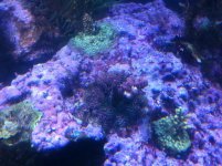 IMG_0509.jpg