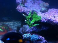 IMG_0511.jpg