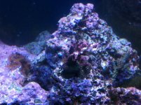 IMG_0512.jpg