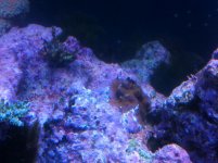 IMG_0513.jpg