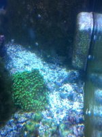 IMG_0517.jpg