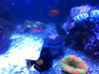 IMG_0521.jpg