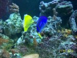 100_4015.jpg